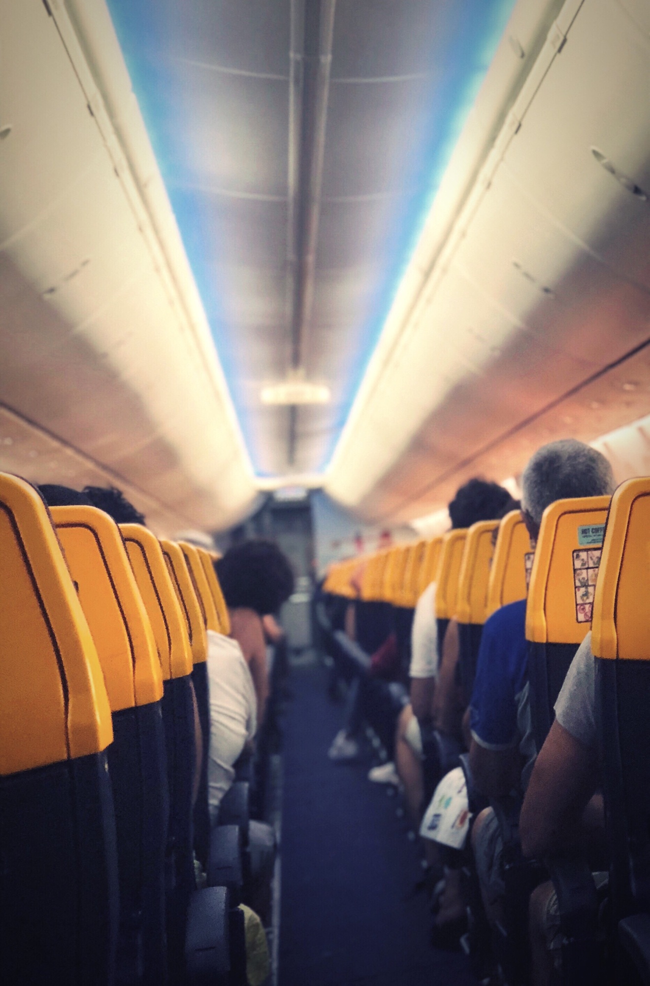 Passengers in the flight